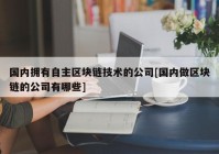 国内拥有自主区块链技术的公司[国内做区块链的公司有哪些]